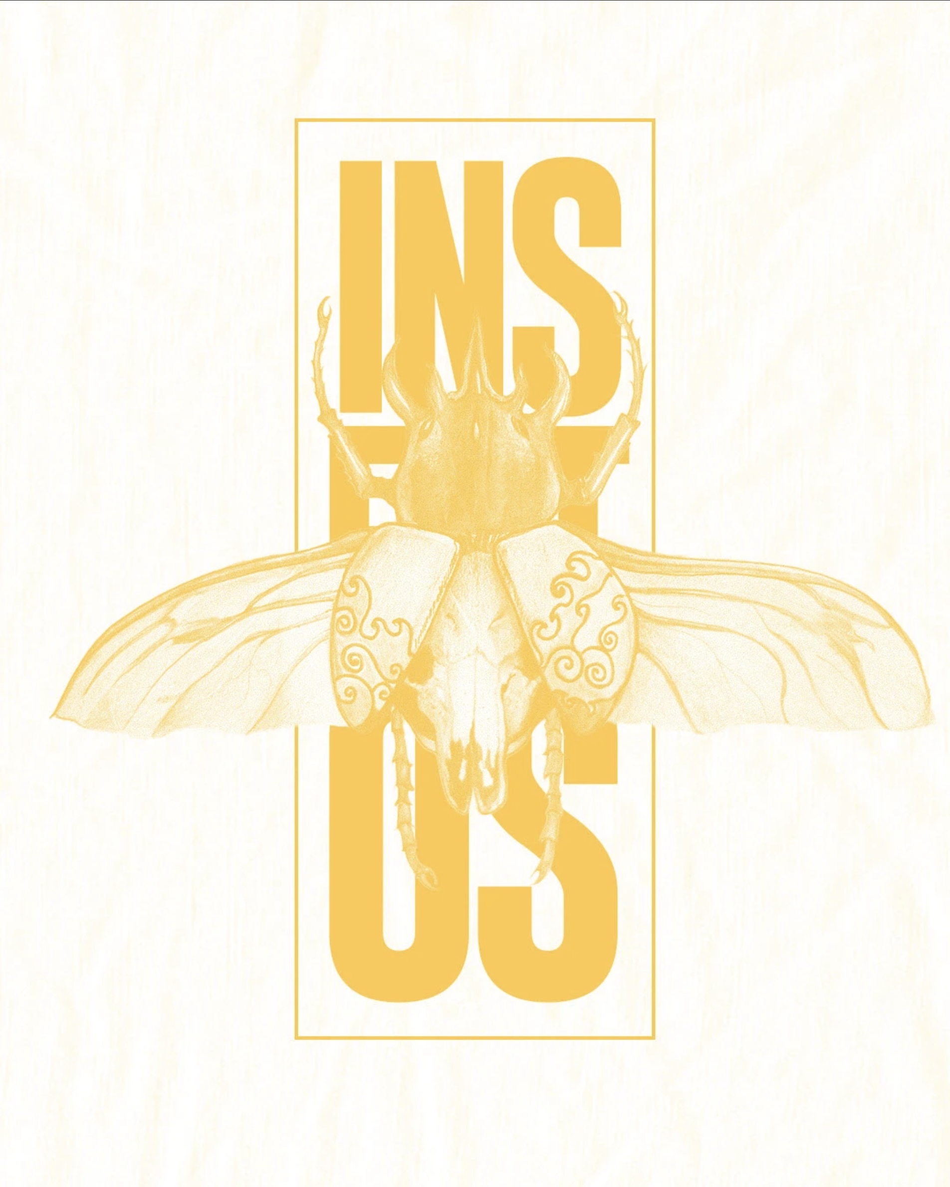 Insectos 3